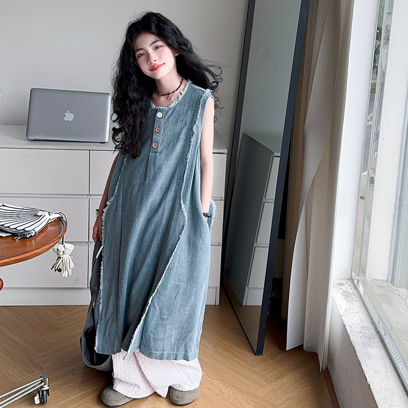 Gaun Denim Musim Panas Mewah A - Girl Fashion Street ulasan dan harga
